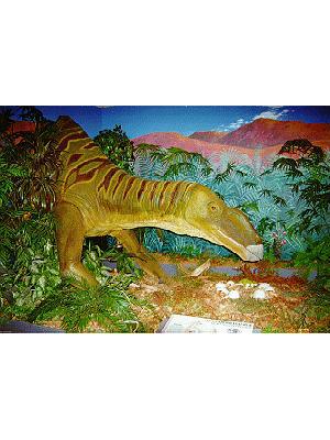 Muttaburrasaurus langdoni