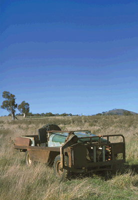 Vehicle Buffalo Catcher