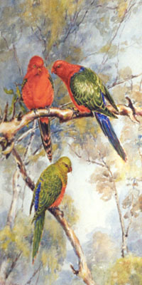 Painting King Parrots