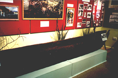 Dug-out canoe The Stoertebeker