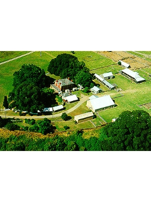 Building Tocal Homestead