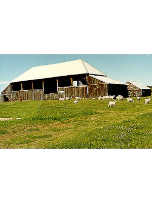Hay shed Blacket Barn