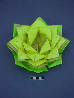 Paper lotus flower Votive paper lotus flower
