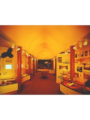 Memorabilia and Artefacts The Vision