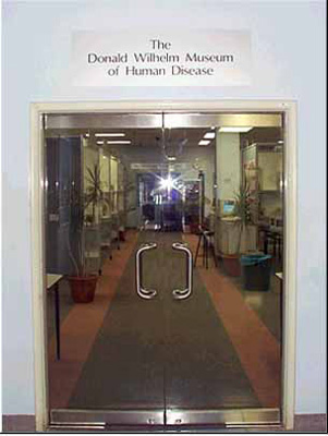 Museum Doors Main entry to Museum Area