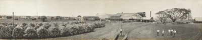 Black and white photograph - panoramic Mourilyan Mill, 1927