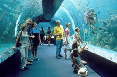 Living Coral Reef Exhibit
