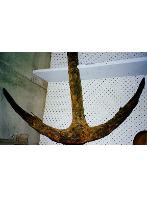 Anchor of the William Anchor