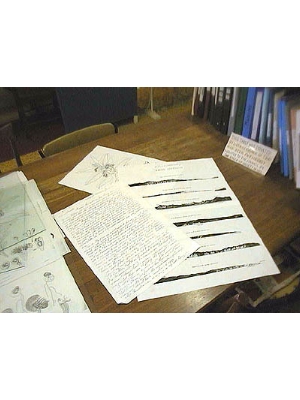 Charts Solander of Charts