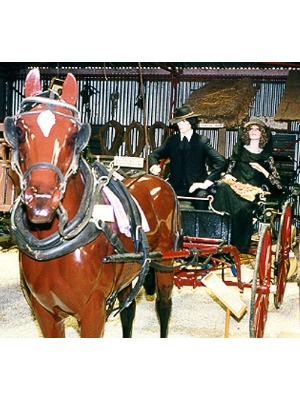 Horse Drawn Vehicle Run About