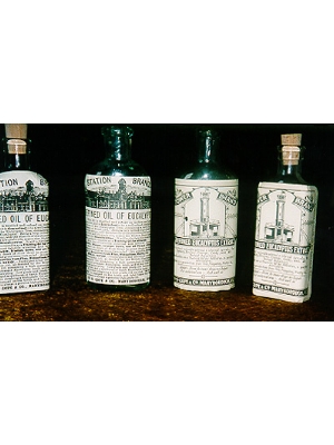 Bottles Eucalyptus Bottles
