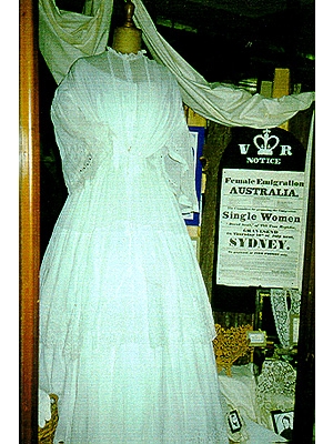 Dress Wedding Dress