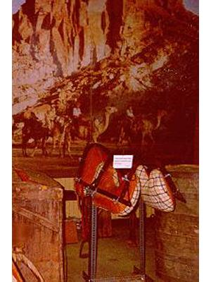 Camel equipment