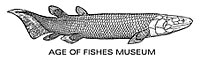 Age of Fishes Museum Age of Fishes Museum