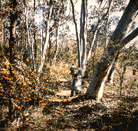 Wirrimbirra Sanctuary Wirrimbirra Sanctuary