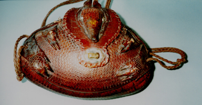 Armadillo's Body Purse Animal Skin Purse